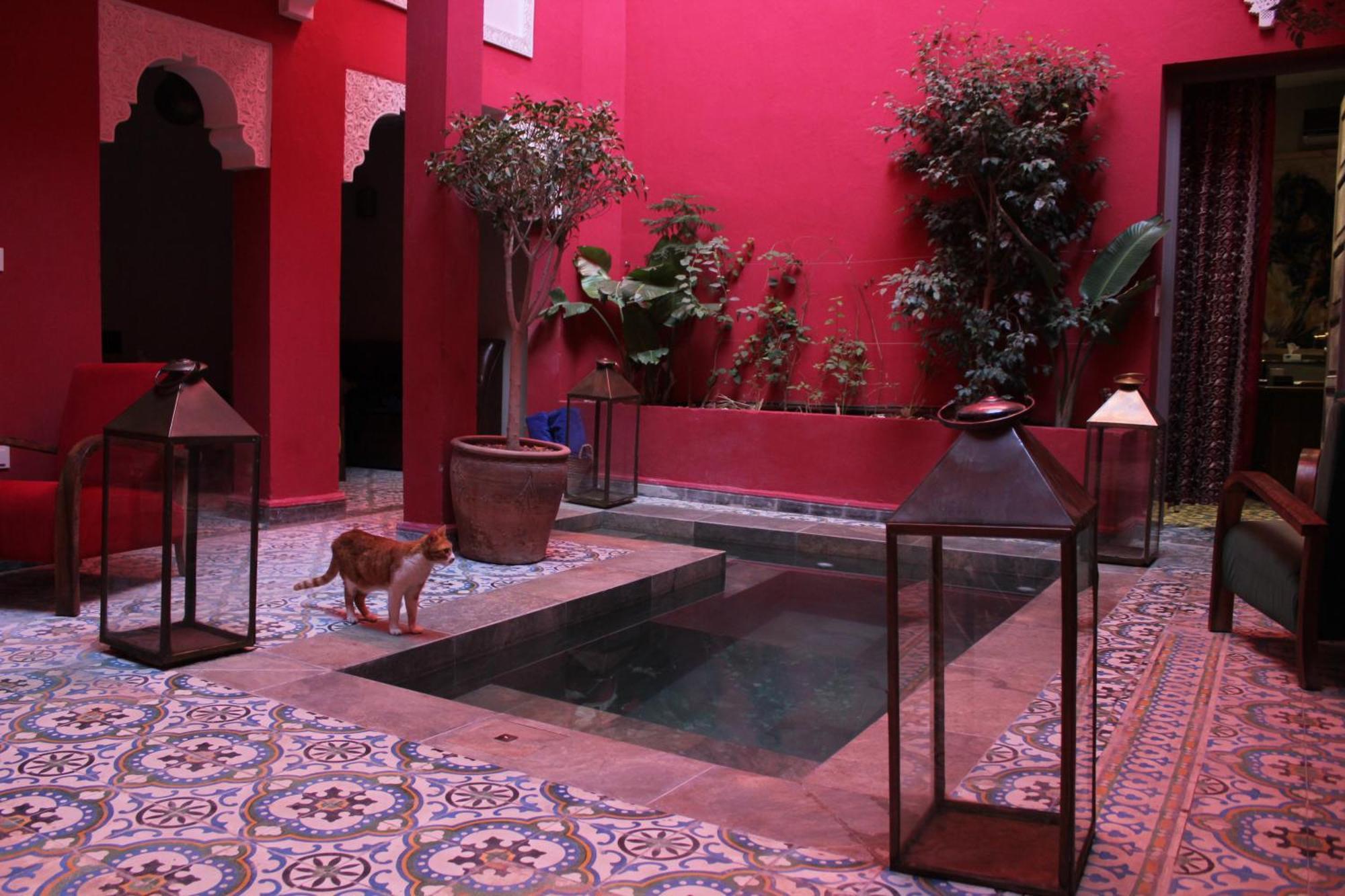 מרקש Riad Hilmuna Hammam Et Spa מראה חיצוני תמונה