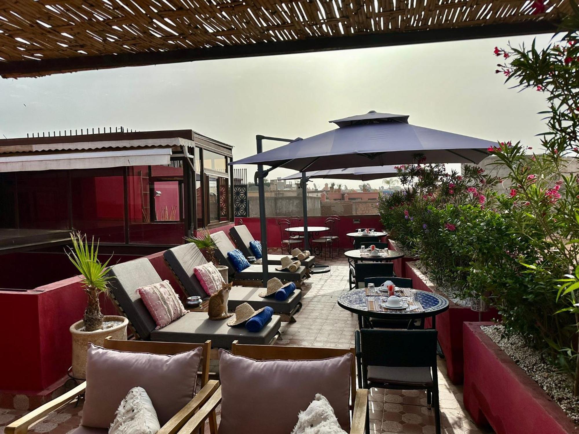 מרקש Riad Hilmuna Hammam Et Spa מראה חיצוני תמונה